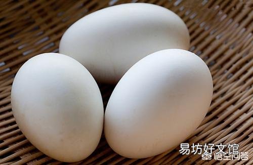你认为鹅蛋有什么营养价值？