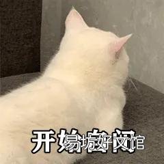 猫咪应激反应症状(猫咪应激反应症状怎么缓解)