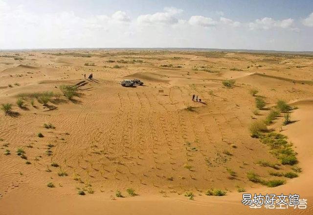 发菜不属于植物,为什么还被列入国家一级保护植物?