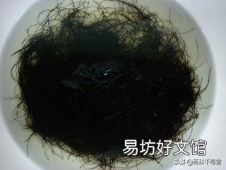 发菜不属于植物,为什么还被列入国家一级保护植物?