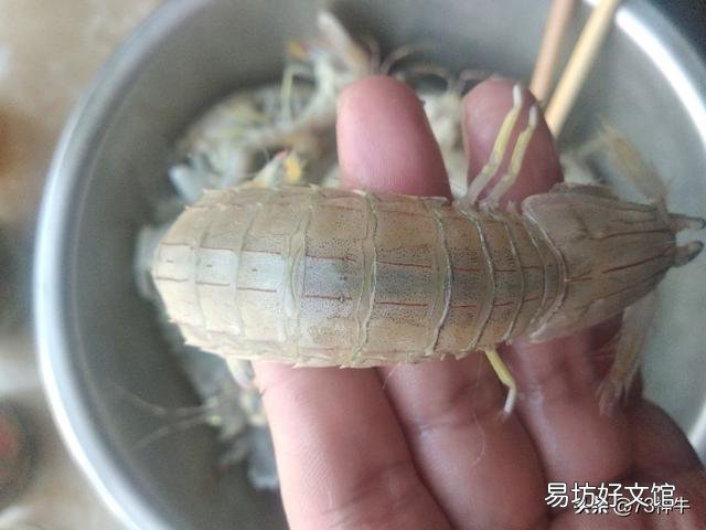 你喜欢吃海鲜吗?喜欢吃哪些海鲜?