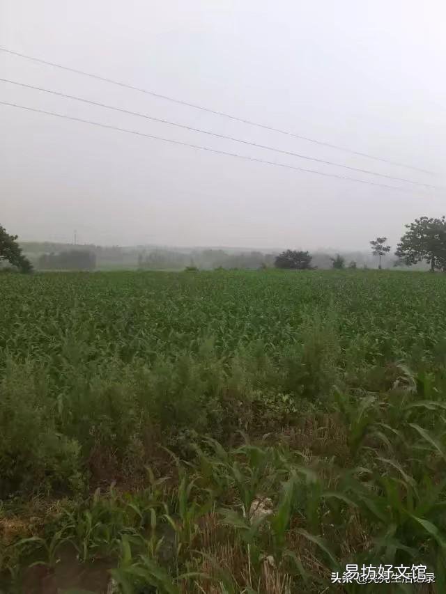 现在的包子店,里面的肉馅,能放心吃吗?