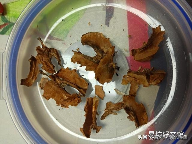 核桃分心木怎么泡?