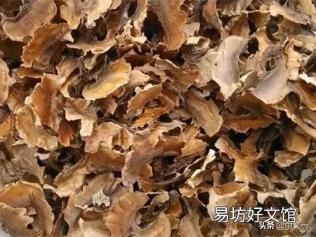 核桃分心木怎么泡?