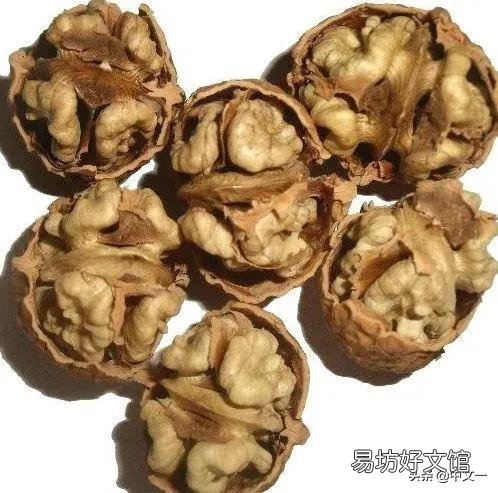 核桃分心木怎么泡?
