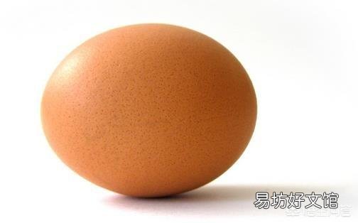 一只海参的营养价值真的不如一个鸡蛋吗?