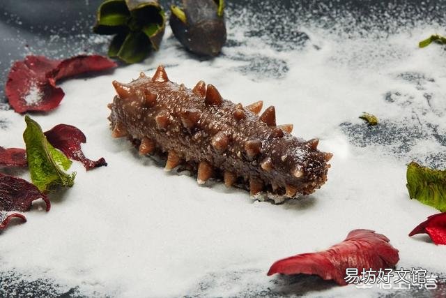 一只海参的营养价值真的不如一个鸡蛋吗?