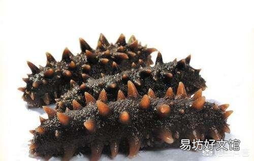一只海参的营养价值真的不如一个鸡蛋吗?
