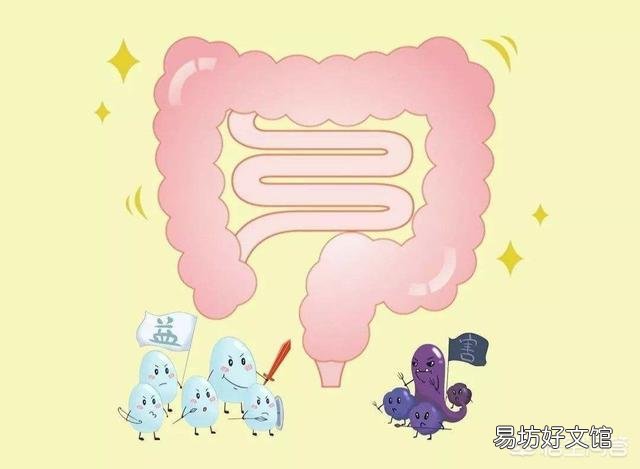 连续一个月喝酸奶,肠胃会因此变健康吗?