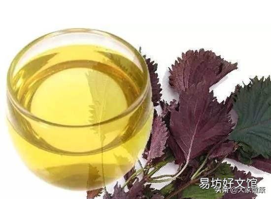 坚持用紫苏泡水喝,对身体有什么作用?