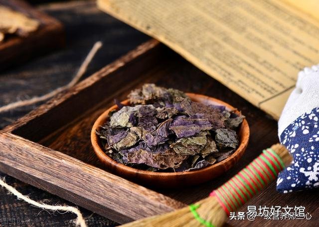 坚持用紫苏泡水喝,对身体有什么作用?