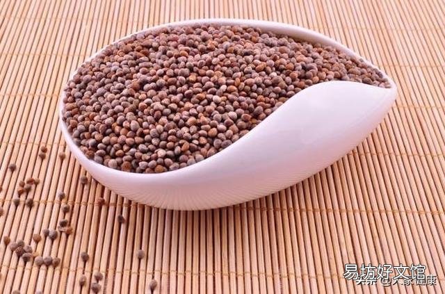 坚持用紫苏泡水喝,对身体有什么作用?