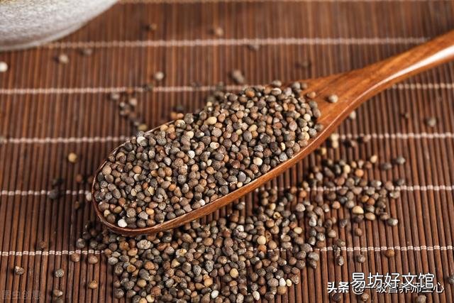 坚持用紫苏泡水喝,对身体有什么作用?