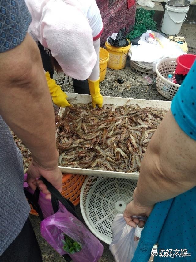 现在的海鲜还敢不敢吃?