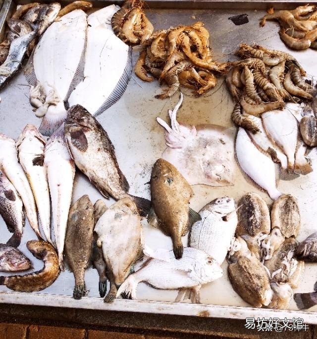 现在的海鲜还敢不敢吃?