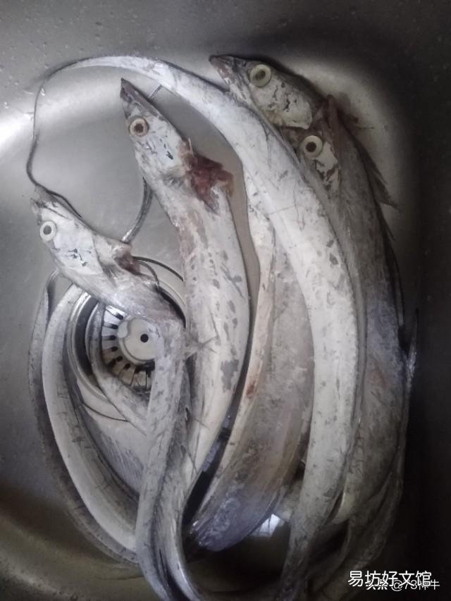 沿海地区都吃什么既便宜又好吃的海鲜啊?