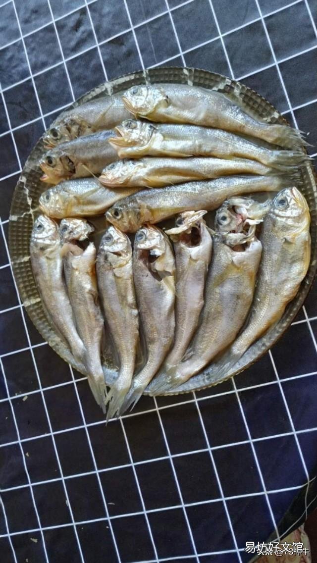 沿海地区都吃什么既便宜又好吃的海鲜啊?