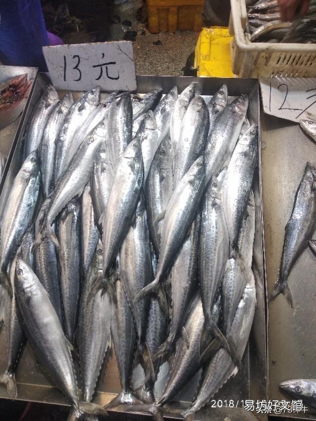 沿海地区都吃什么既便宜又好吃的海鲜啊?