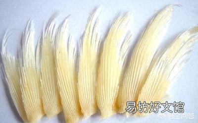 鱼翅是什么?有什么营养价值?
