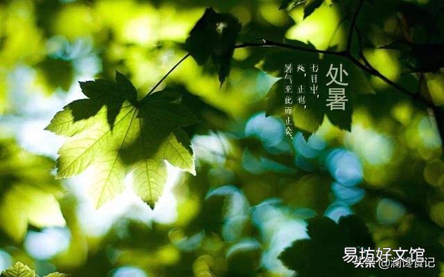 后天处暑,该怎么饮食呢?