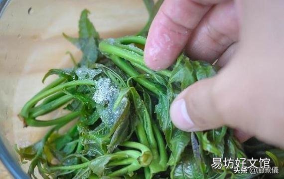 最近香椿很火，很想吃，有朋友能介绍一下具体的吃法做法吗？