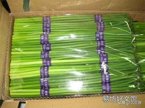 蒜苔为什么有红帽和白帽之分?买蒜苔该怎么选?