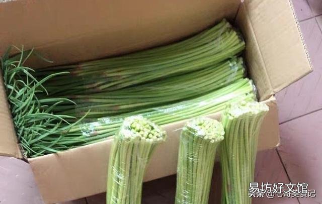 蒜苔为什么有红帽和白帽之分?买蒜苔该怎么选?