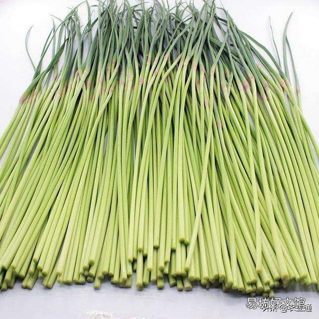 蒜苔为什么有红帽和白帽之分?买蒜苔该怎么选?