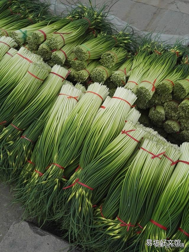 蒜苔为什么有红帽和白帽之分?买蒜苔该怎么选?