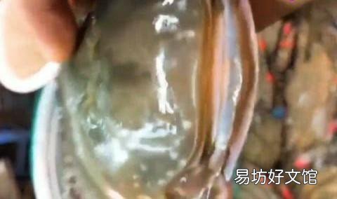 为什么有的活梭子蟹买回来煮后里面是空的?