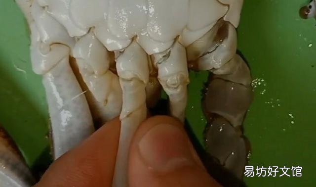 为什么有的活梭子蟹买回来煮后里面是空的?