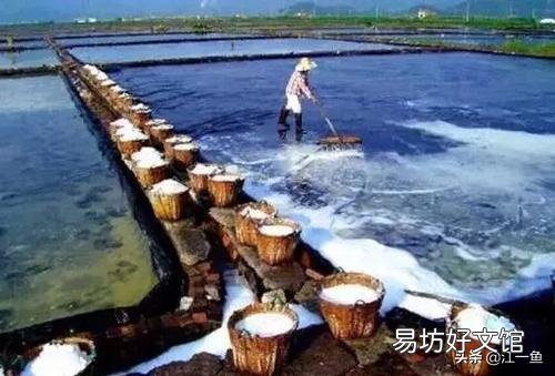 咱們老百姓吃的食鹽是礦鹽還是海鹽，哪個更好點呢？