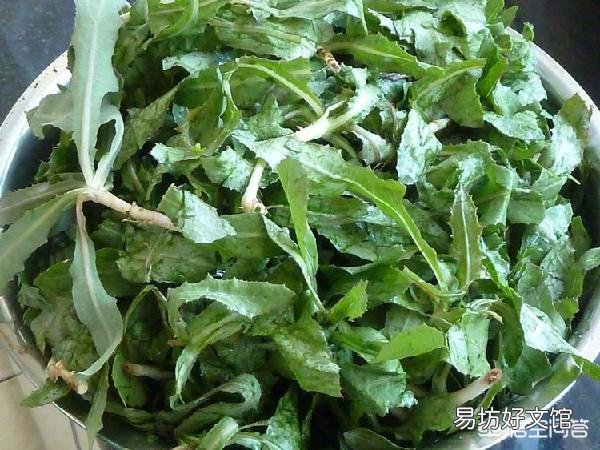 农村地里的曲麻菜好吃吗?