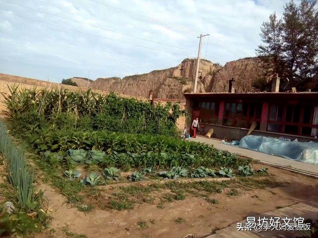 你是不是也怀念小时候吃到的成熟有汤汁的西红柿?现在想想感觉如何?
