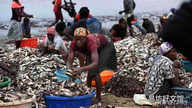 非洲人为何不爱吃海鲜？