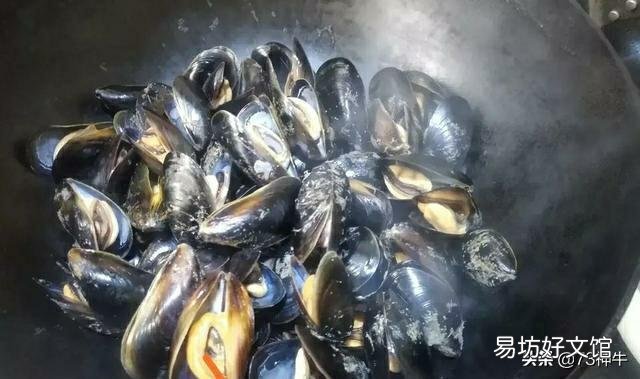 非洲人为何不爱吃海鲜？
