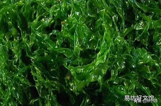 吃海菜传染甲肝吗?