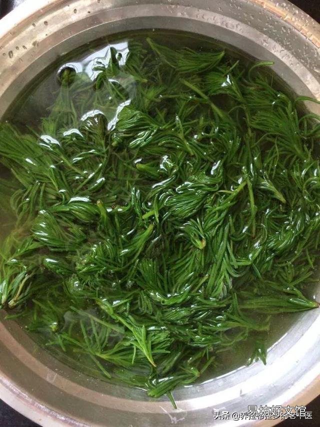 吃海菜传染甲肝吗?