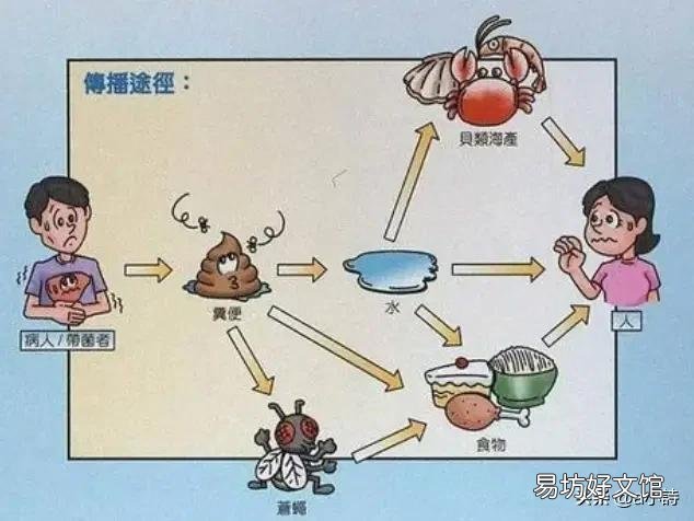吃海菜传染甲肝吗?
