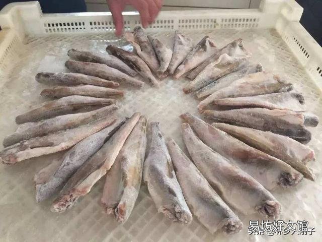 市场上卖的“雷鱼”为什么提前都去了头?