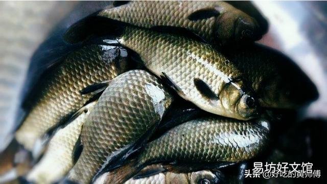 春天，孩子长高的季节，做什么菜或煲什么汤给孩子喝好呢？