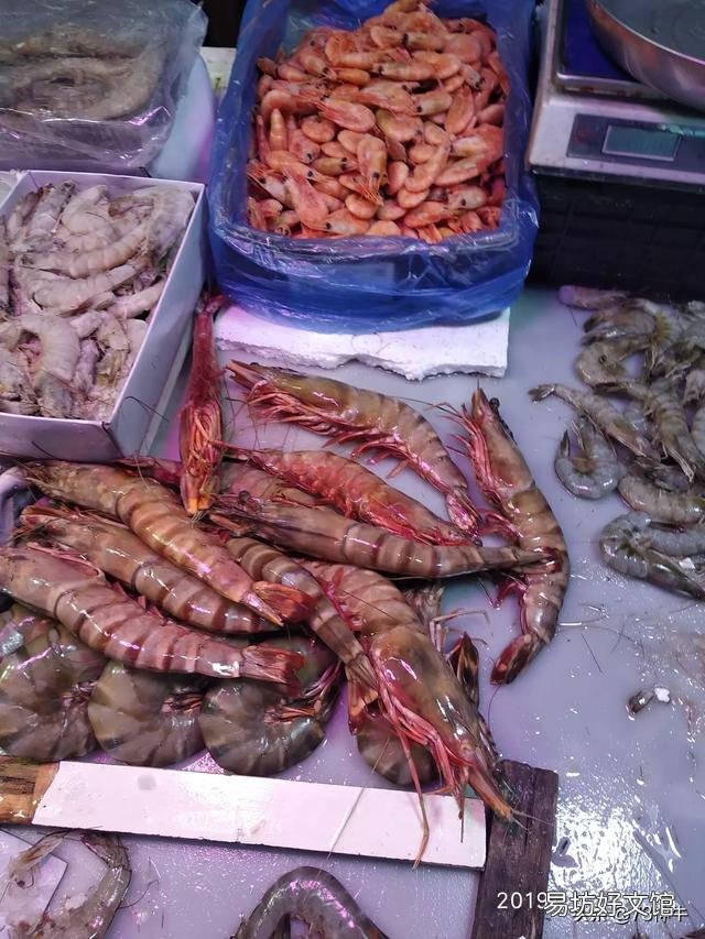 哪种虾最贵？