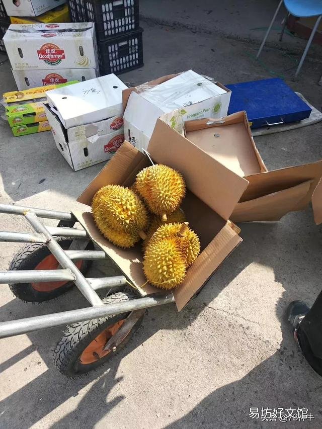 榴莲为什么有人爱,也有人恨?