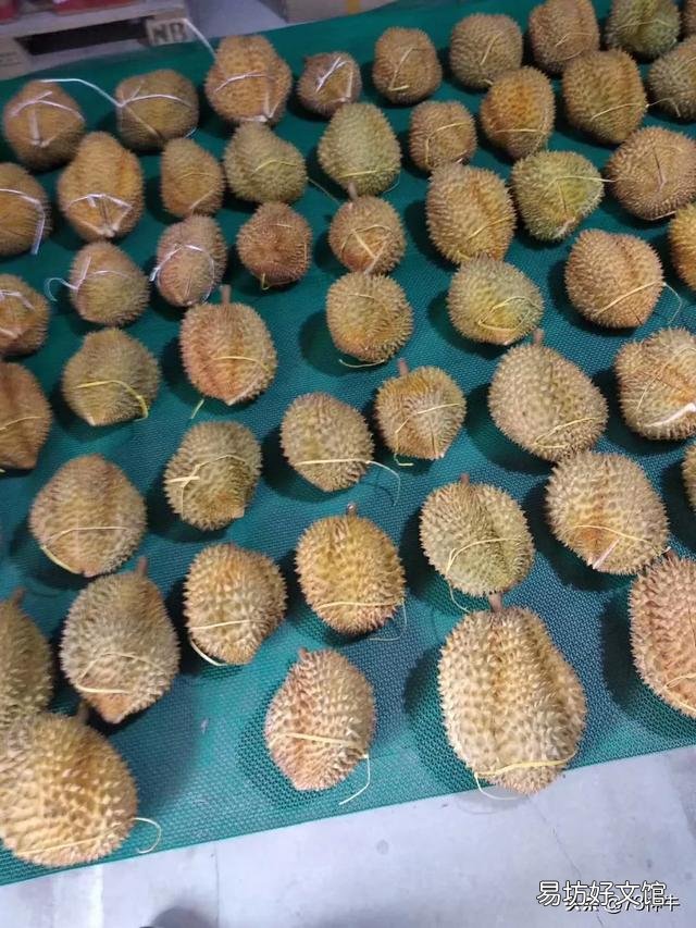 榴莲为什么有人爱,也有人恨?