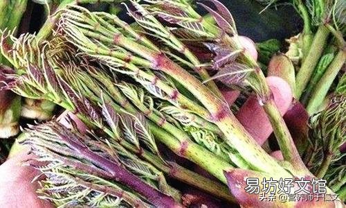 春天了，适合吃什么菜呢？有什么好的做法推荐呢？