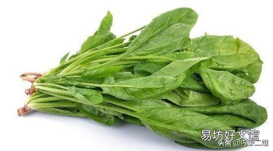 春天了，适合吃什么菜呢？有什么好的做法推荐呢？