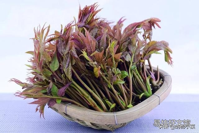 春天了，适合吃什么菜呢？有什么好的做法推荐呢？