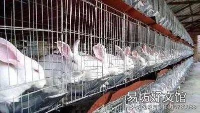 东北年夜饭什么必须吃,什么不吃?