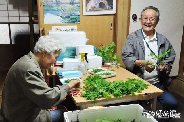 日本人均寿命最长的原因是什么？像枸杞、大枣、百合、葡萄干、桂圆这类东西，日本人吃吗？ ？