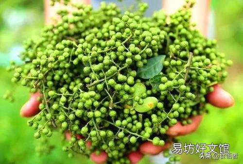 川菜三大灵魂调料，是哪三种？